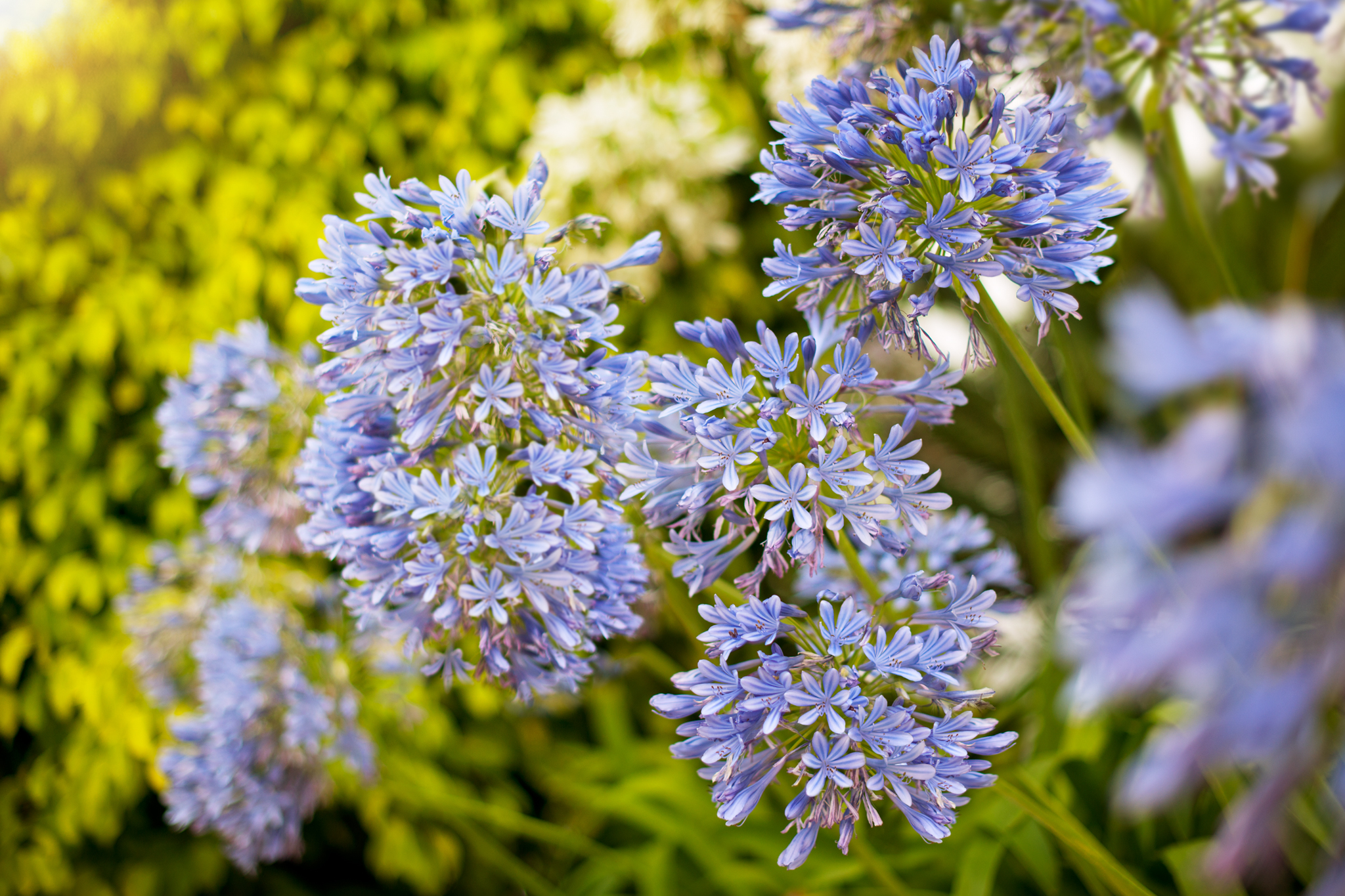 西班牙马贝拉罗马桥酒店-2-33