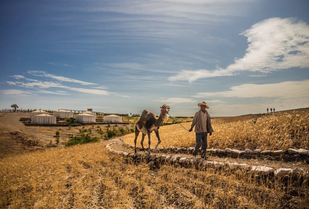Terre des étoiles 生态度假天堂丨摩洛哥马拉喀什丨多位设计师-14