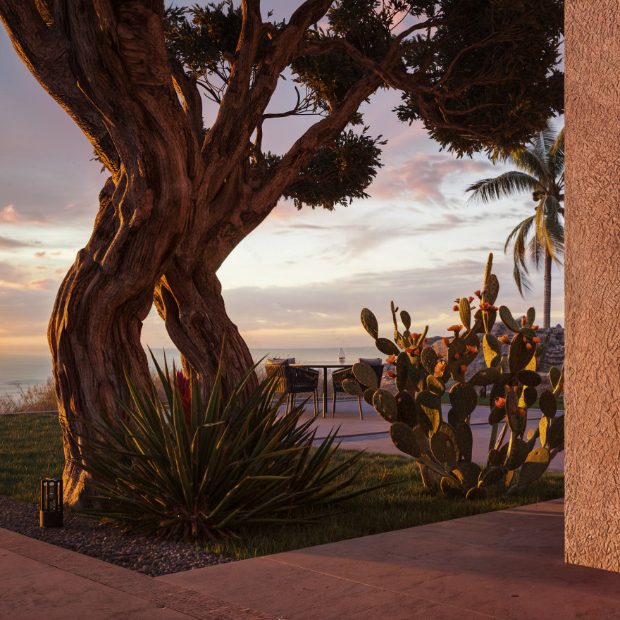 迪拜朱美拉棕榈岛日落别墅丨阿联酋迪拜-13