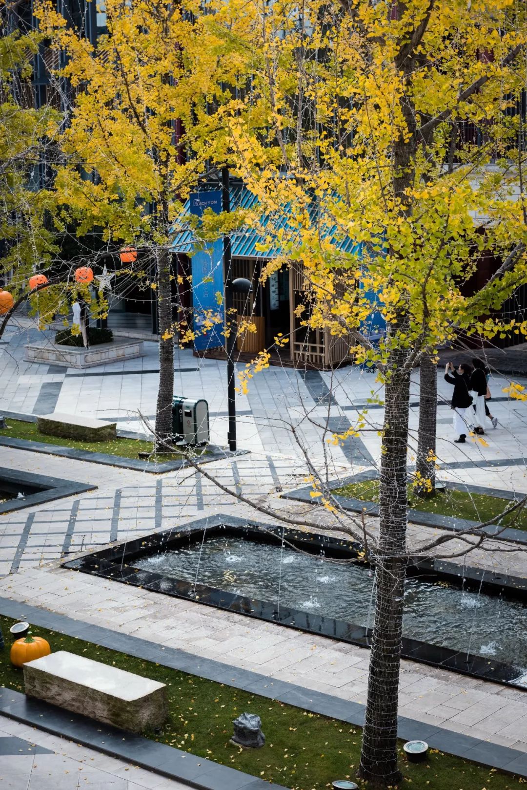 典藏法式浪漫，礼献昆明一座“城” | 公园1903-50