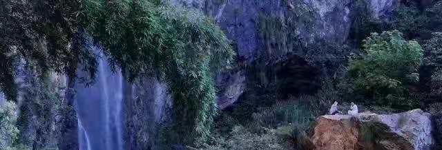 
参观江西庐山--归宗文化 -10