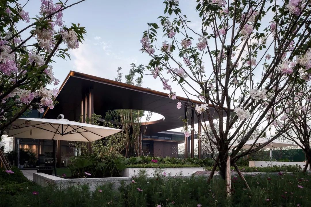 Inspiration |纯粹的平衡制造-3