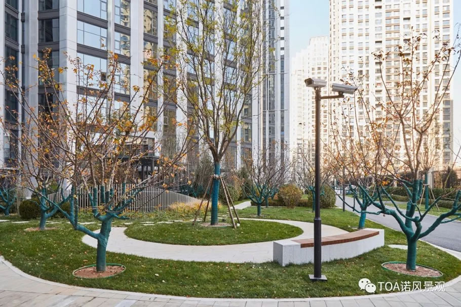 太原万科公园大道丨中国太原丨TOA 诺风景观设计咨询有限公司-34