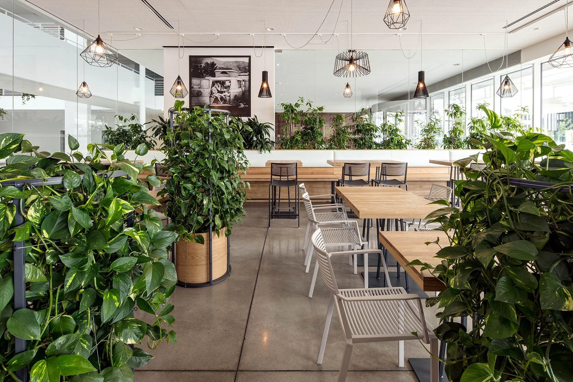 弗雷谢里小酒馆城市绿色庭院-15