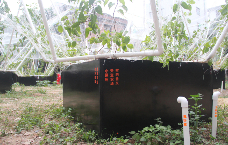 深圳天际农场 · 农民智慧融入城市更新-38