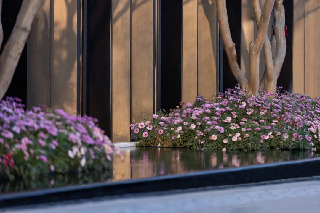 成都龙湖·昱湖 1 号丨中国成都丨凯盛上景(北京)景观规划设计有限公司-32