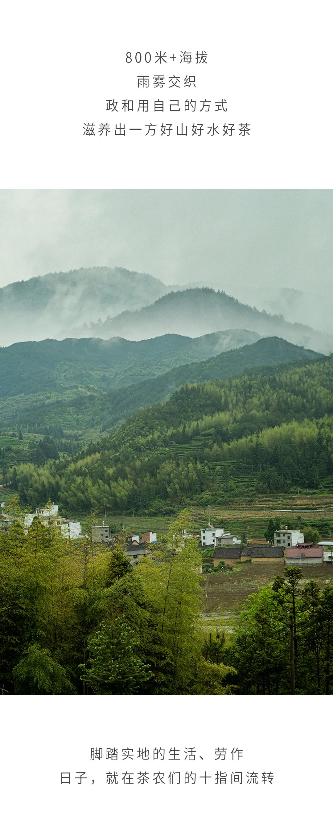 全季 | 在这里，慢比快更重要-2