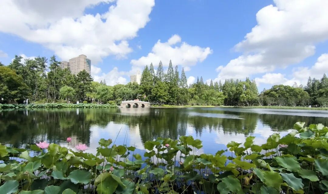 中国园林·理事专栏|“拓”之力量：杨浦公园改造纪实(三)-119