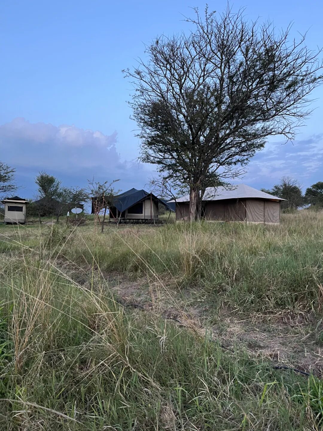 非洲考察2|坦桑酒店探访-211