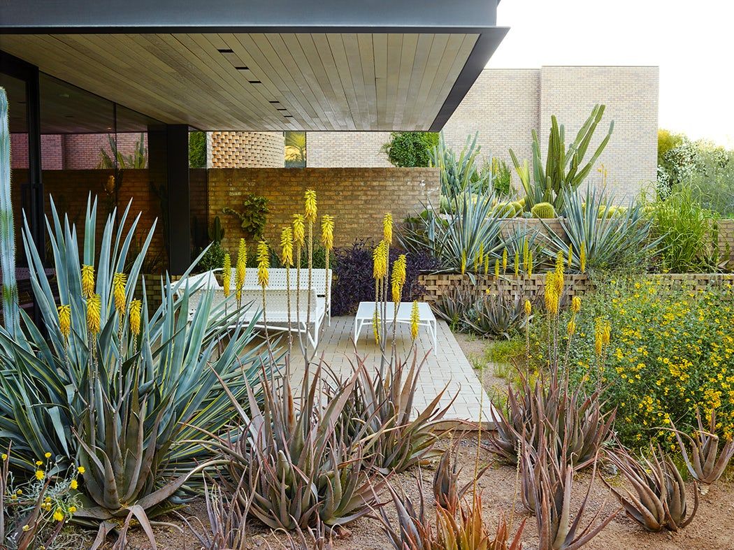 沙漠梦幻家园 | Camelback 山丘的生态景观设计-21