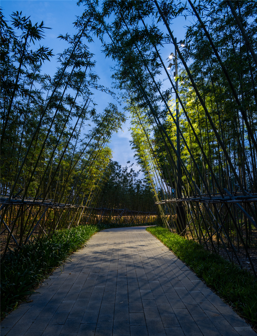 境誉|点亮“优异之光”!上海世博文化公园景观照明荣膺2025年第十届亚洲照明设计奖-177