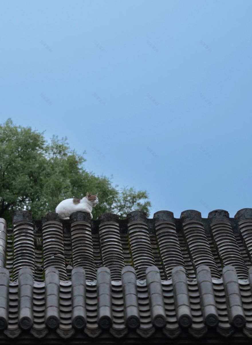 不一样的四合院丨中国北京丨超级符号设计事务所-7