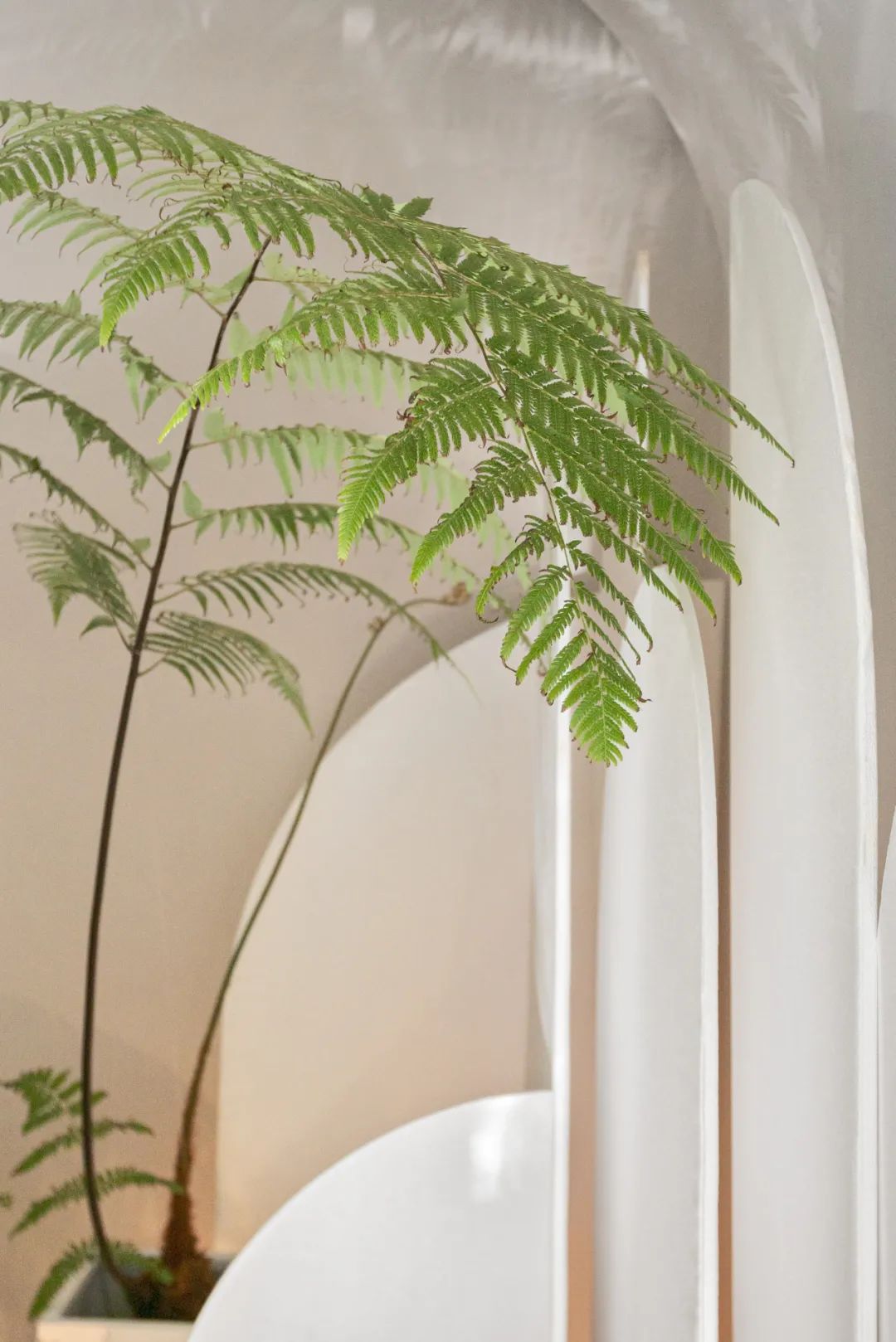 JUSEN巨森DESIGN丨中国常州-53