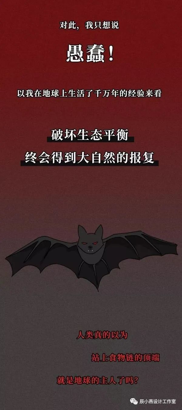 时间之翼 | 设计中找寻丢失的岁月-4