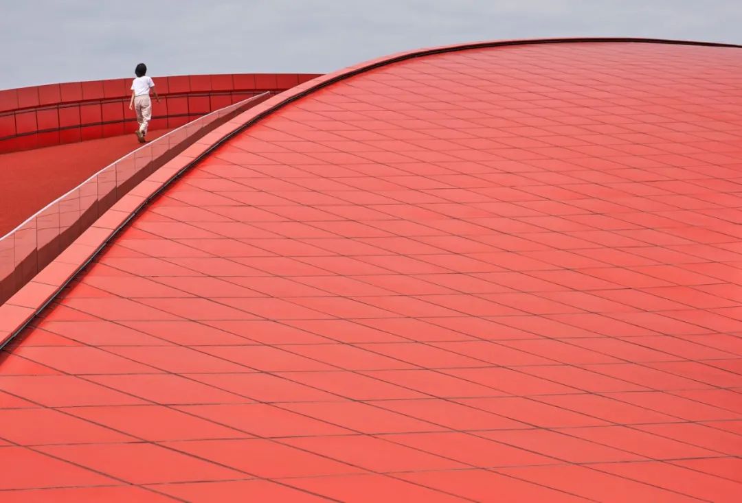 城市绿道漫步 | 一步跨入森林之中-23