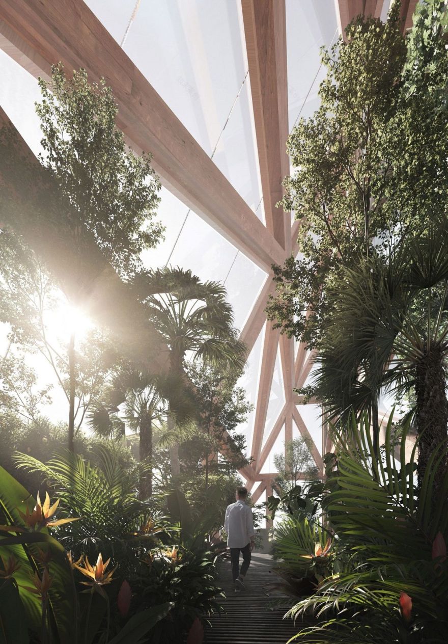 欧洲最高木结构建筑 | 都柏林多层木质建筑-4