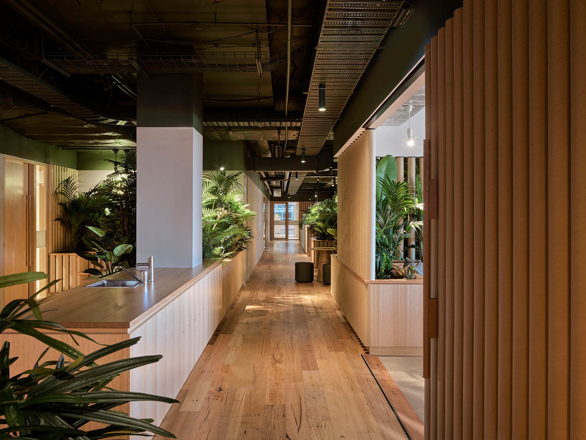 新希望办公室丨澳大利亚悉尼-0