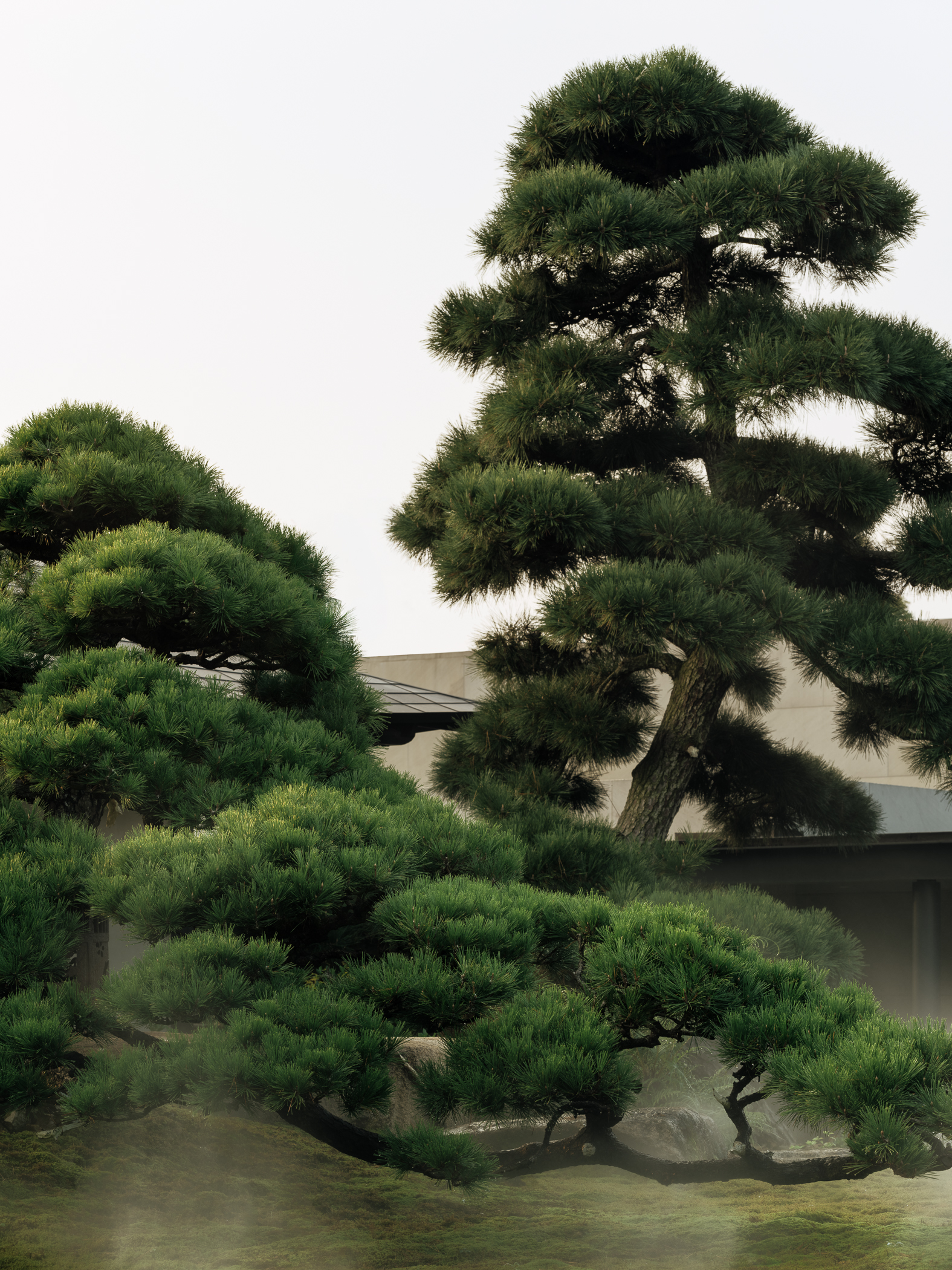 Garden No· 3｜三号园林丨中国上海丨石蛋庭院景观设计-25