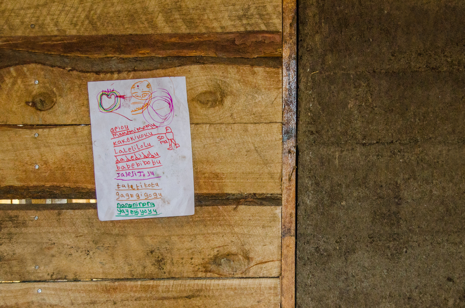 阿马尼图书馆-33