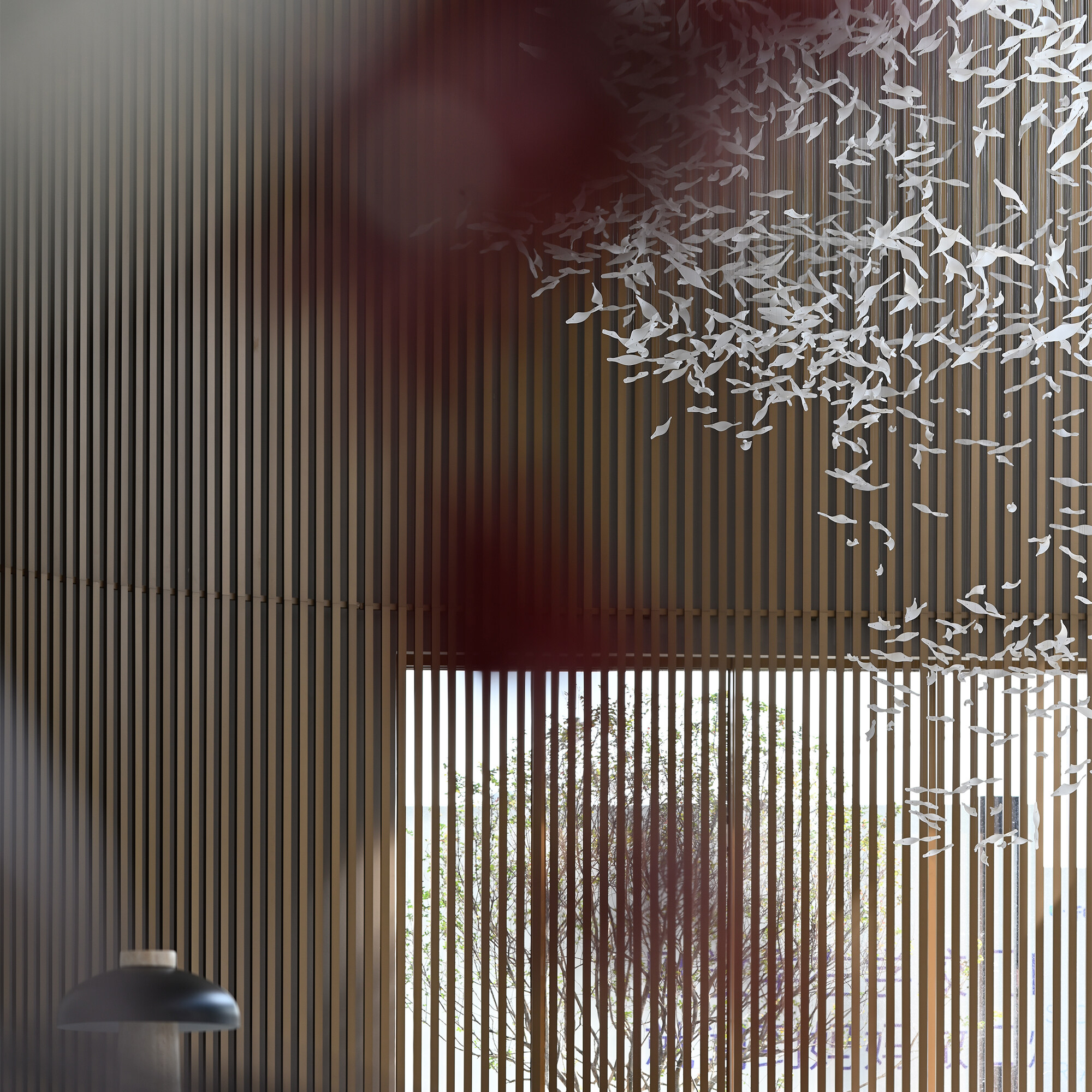 2022美国IDA国际设计大奖 - 共生形态 C&C DESIGN-15