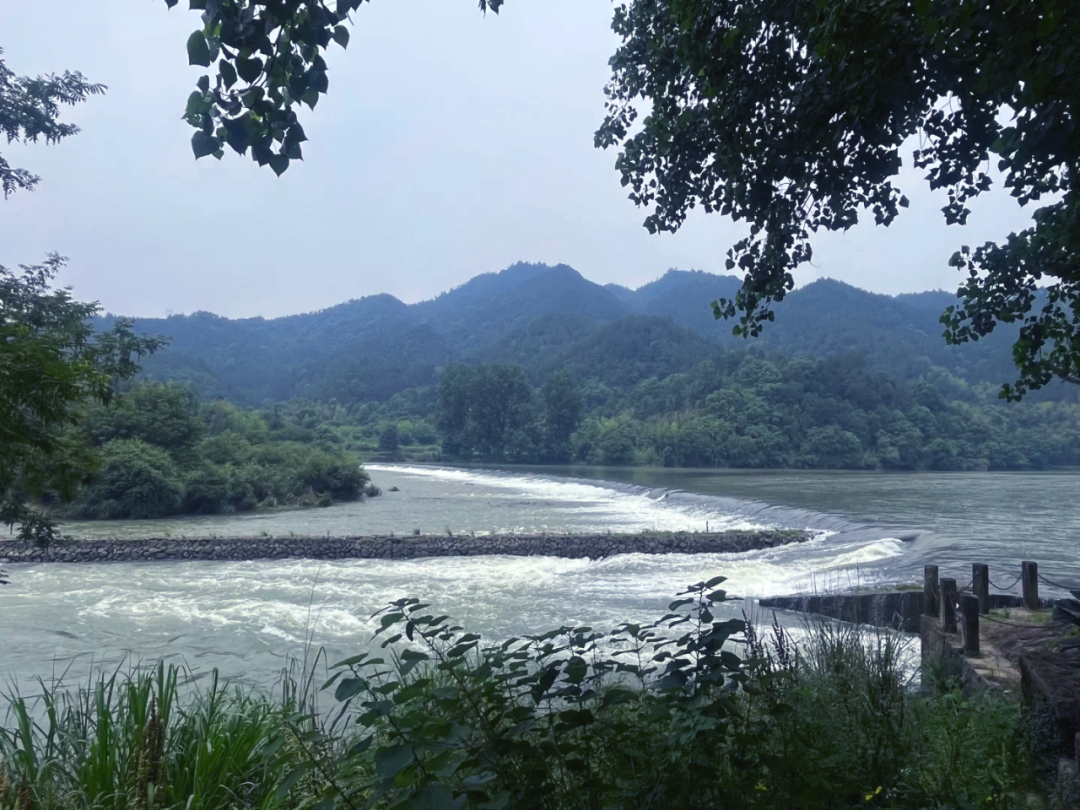 驻85丨中国丽水丨杭州时上建筑空间设计事务所-8