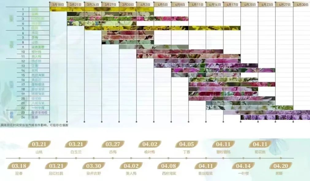 天津万科也写了一部“繁花”丨中国天津丨天华景观-39