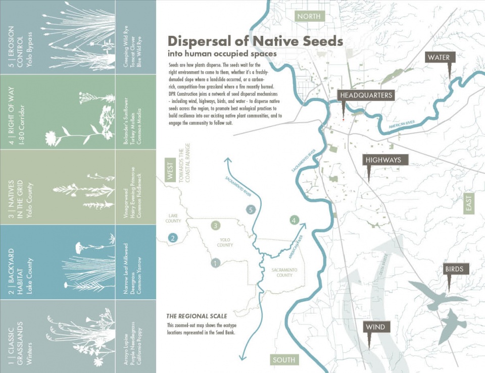 种子银行 | 活体墙的新方法,美国加州 / Miridae-54