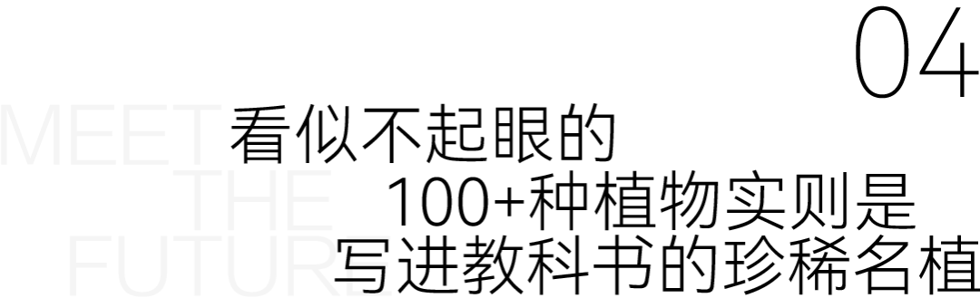 金蝶云大厦丨中国深圳-36