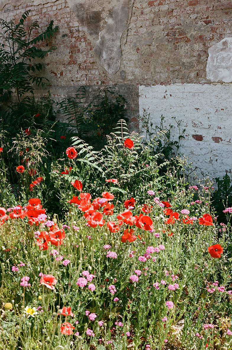 丨奥地利维也纳-17