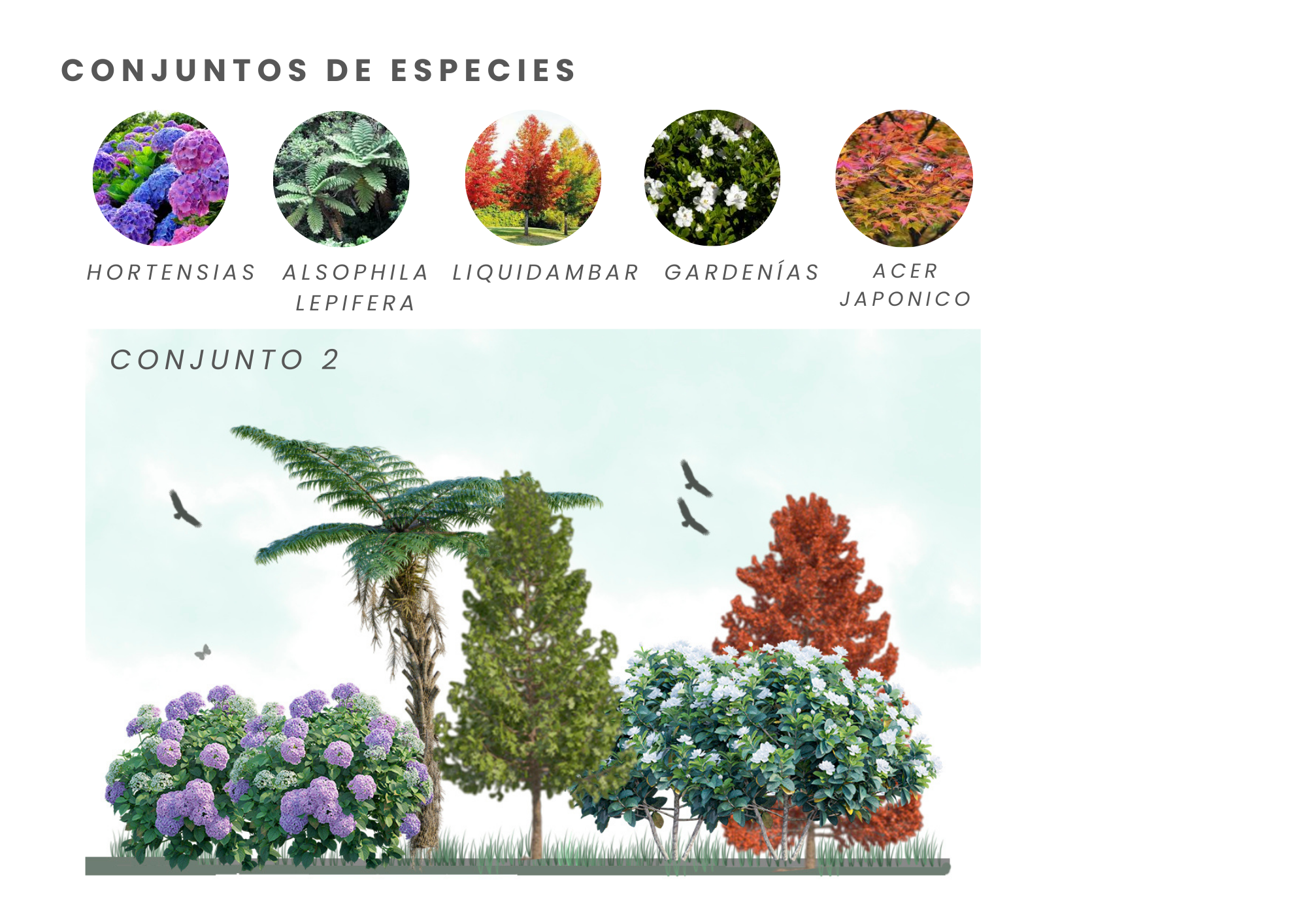 PORTAFOLIO JAVIERA ARANCIBIA PADILLA-23