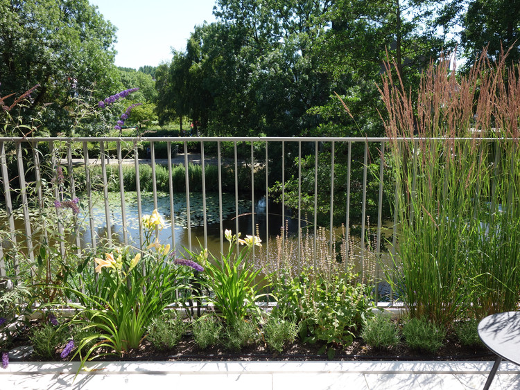 阿姆斯特丹绿色阶梯住宅 | Klencke NL Architects-58