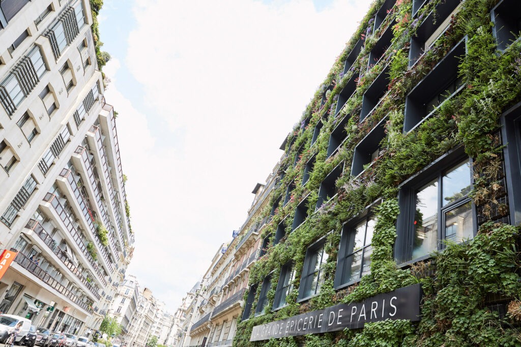 大食品杂货店 自由空间丨法国巴黎丨MPA Architecture和Espace Libre-23