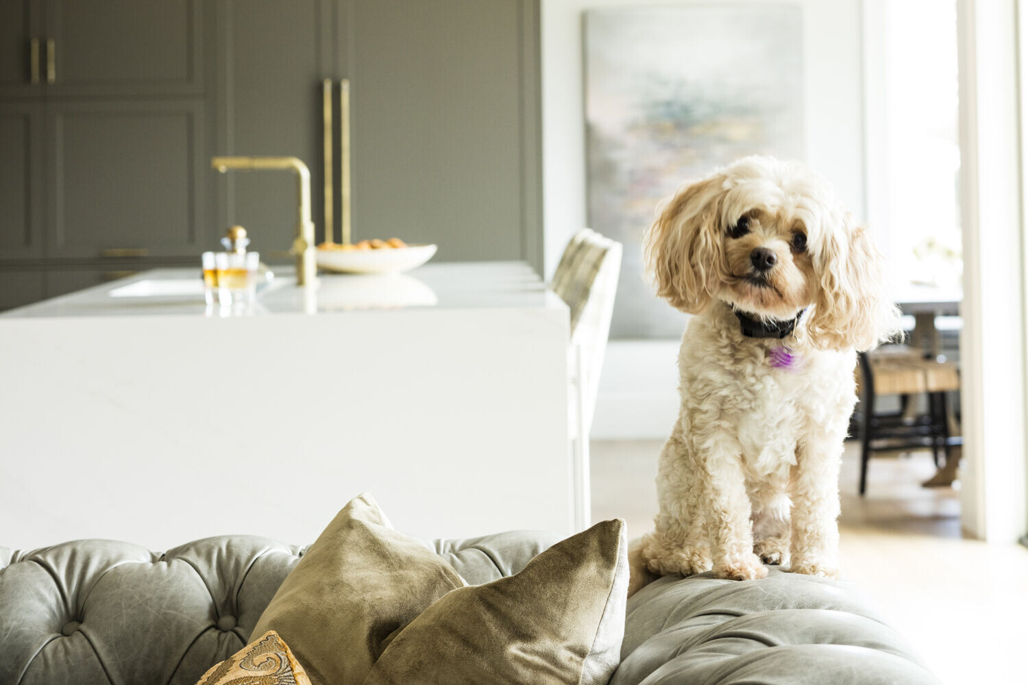 Seattle 水岸山景私人住宅，打造酒店式烹饪娱乐空间-21