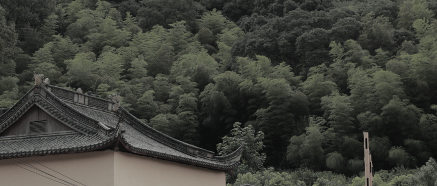 我们在山林里的寺院边,盖了一个喝茶的亭子-33