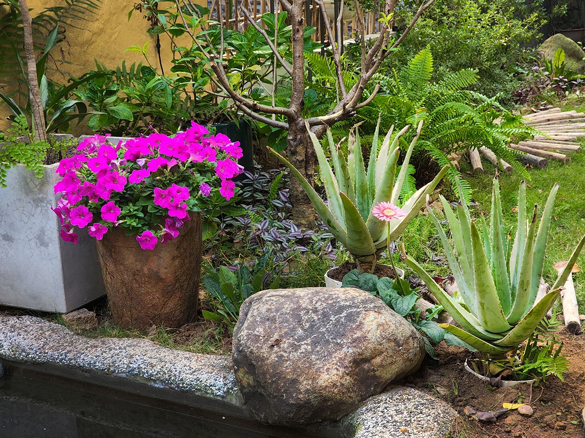 绿意盎然的家庭乐园 | HOH 建筑与 construction-31