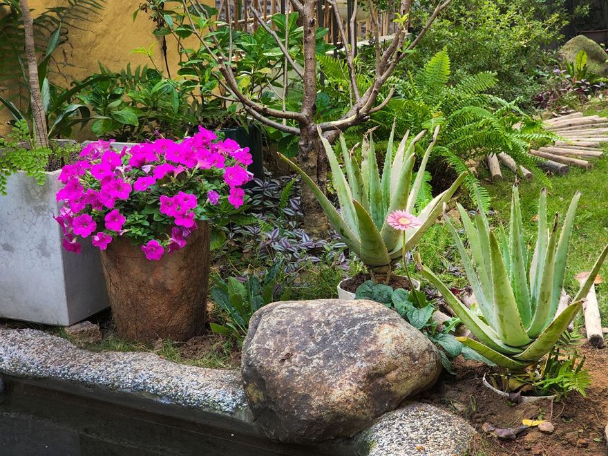 绿意盎然的家庭乐园 | HOH 建筑与 construction-31