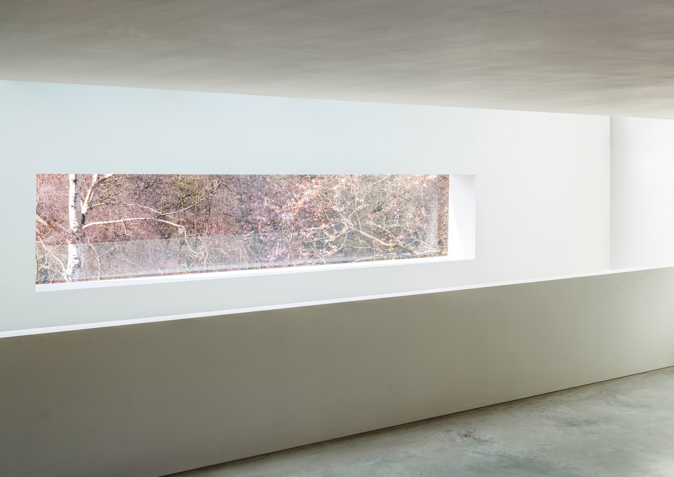 Guard Tillman Pollock slots modernist-styled Holm House behind Highgate home-24