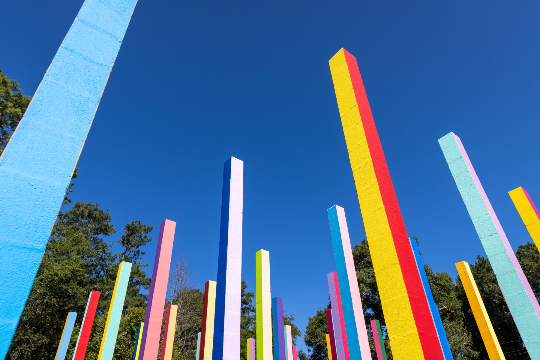 彩虹森林丨美国丨Office Kovacs-30