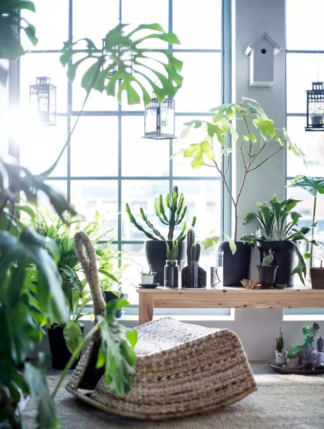 1㎡神仙角落设计-32