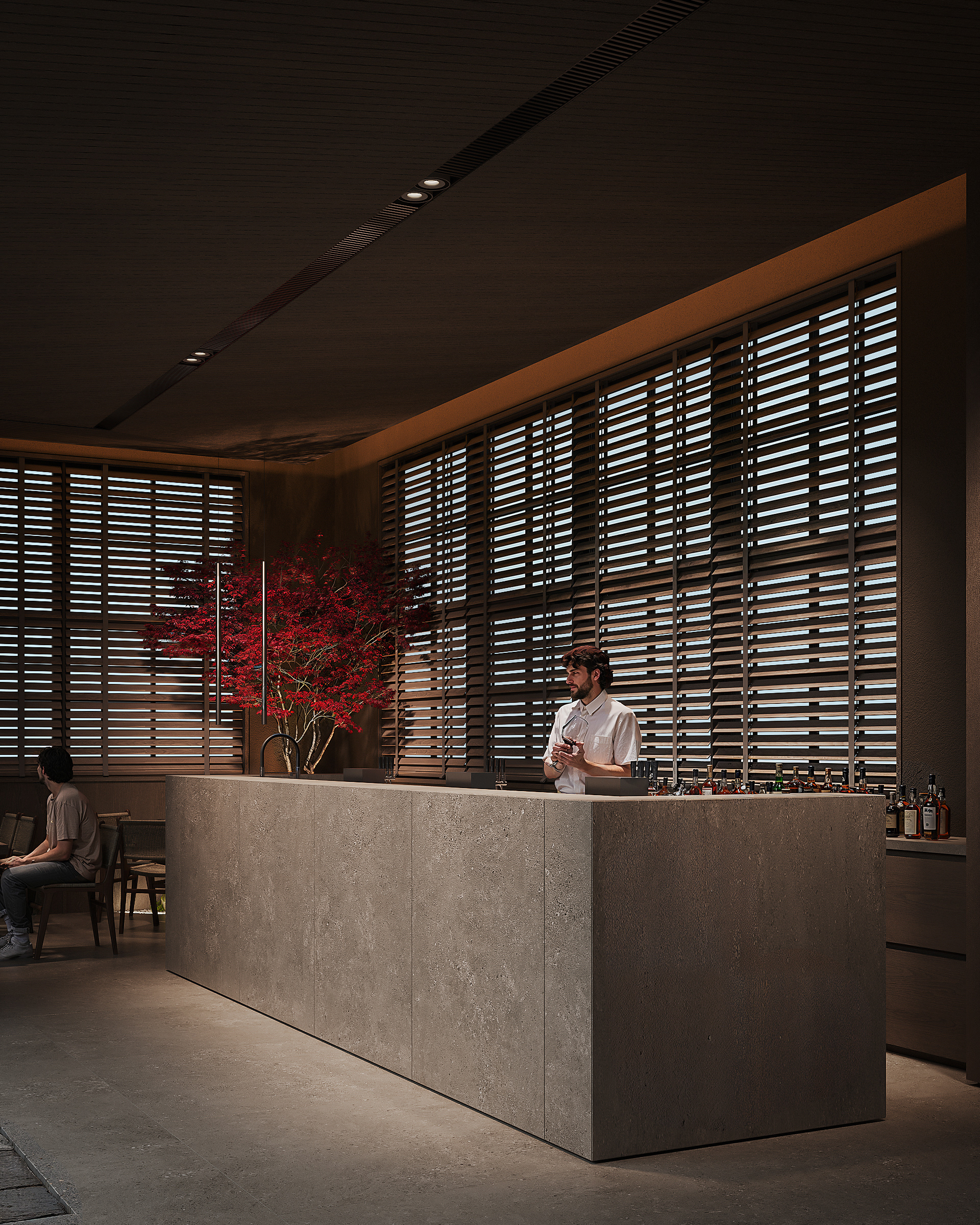 奈良原（注：NARA常见对应奈良，HARA常见对应原，但由于没有更多语境，这只是一种可能的人名或地名等的音译，具体需结合实际情况确定） 丨美国亚利桑那-32