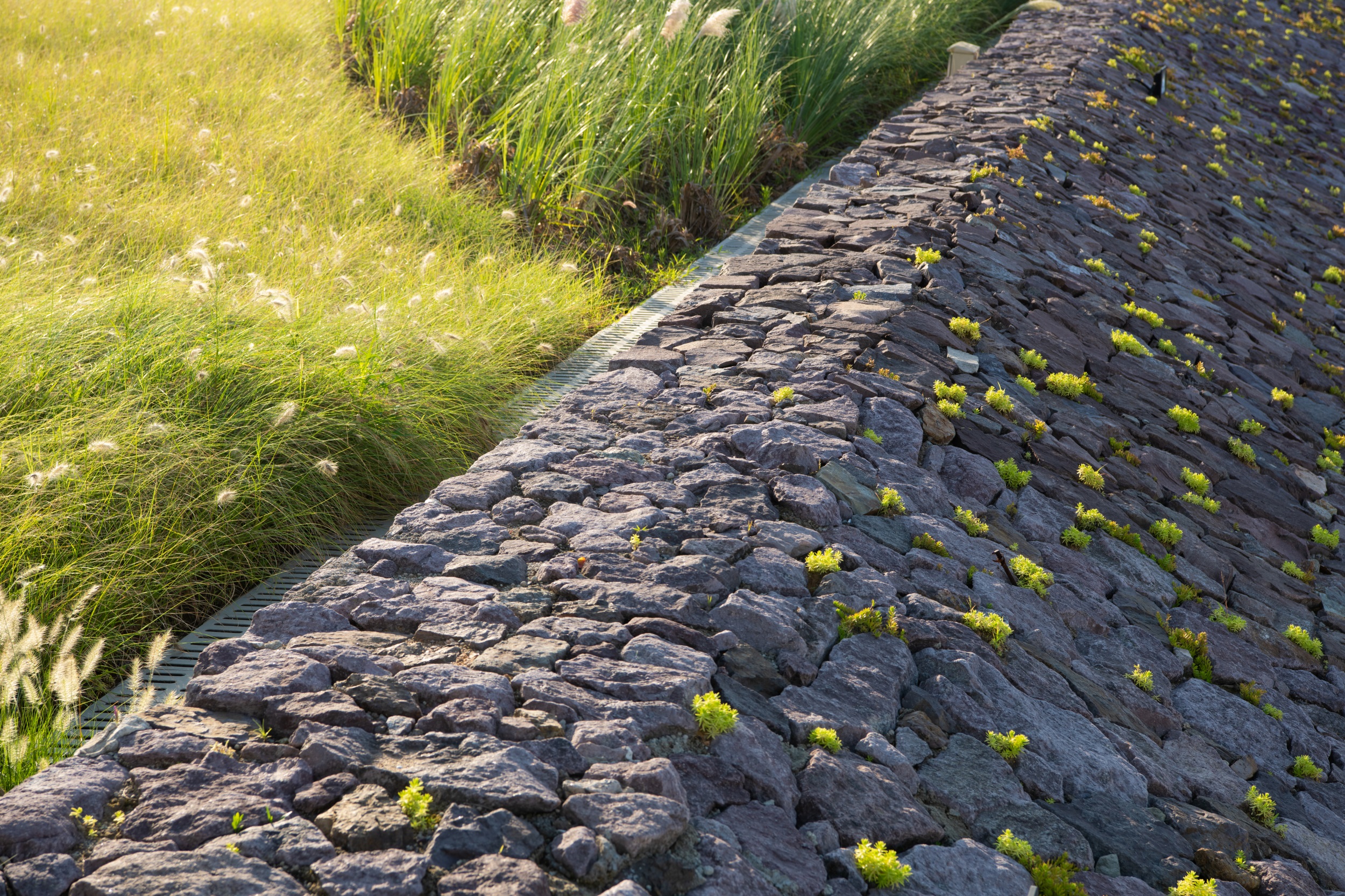 宁波滨海华侨城示范区延伸段丨中国宁波丨启迪设计-56