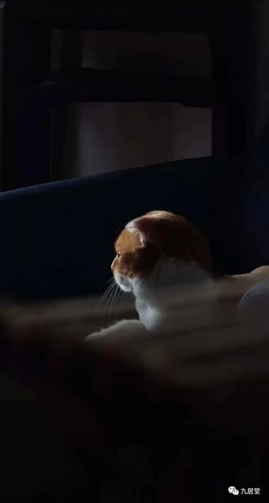 奢华与教养的分界 · 内心的奢侈丨中国-3