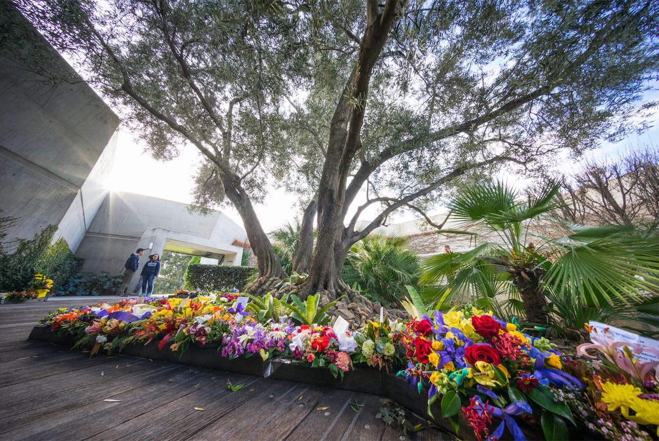 澳大利亚墨尔本战争纪念馆-22