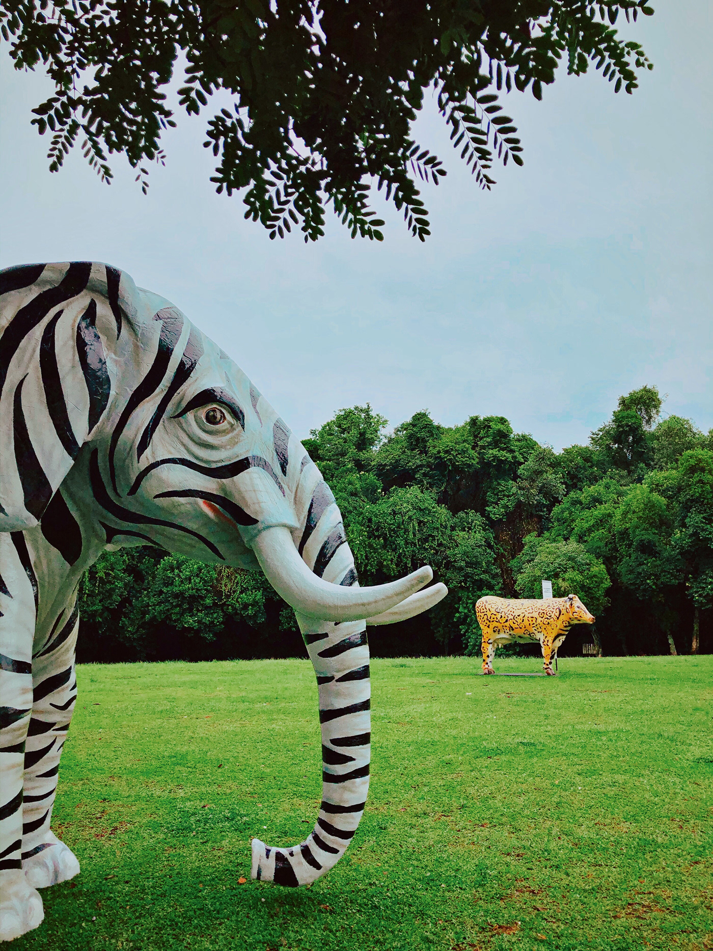 Curitiba por vários ângulos-4