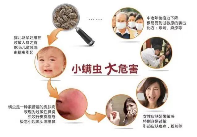 东明家居西二环店床垫以旧换新活动-14