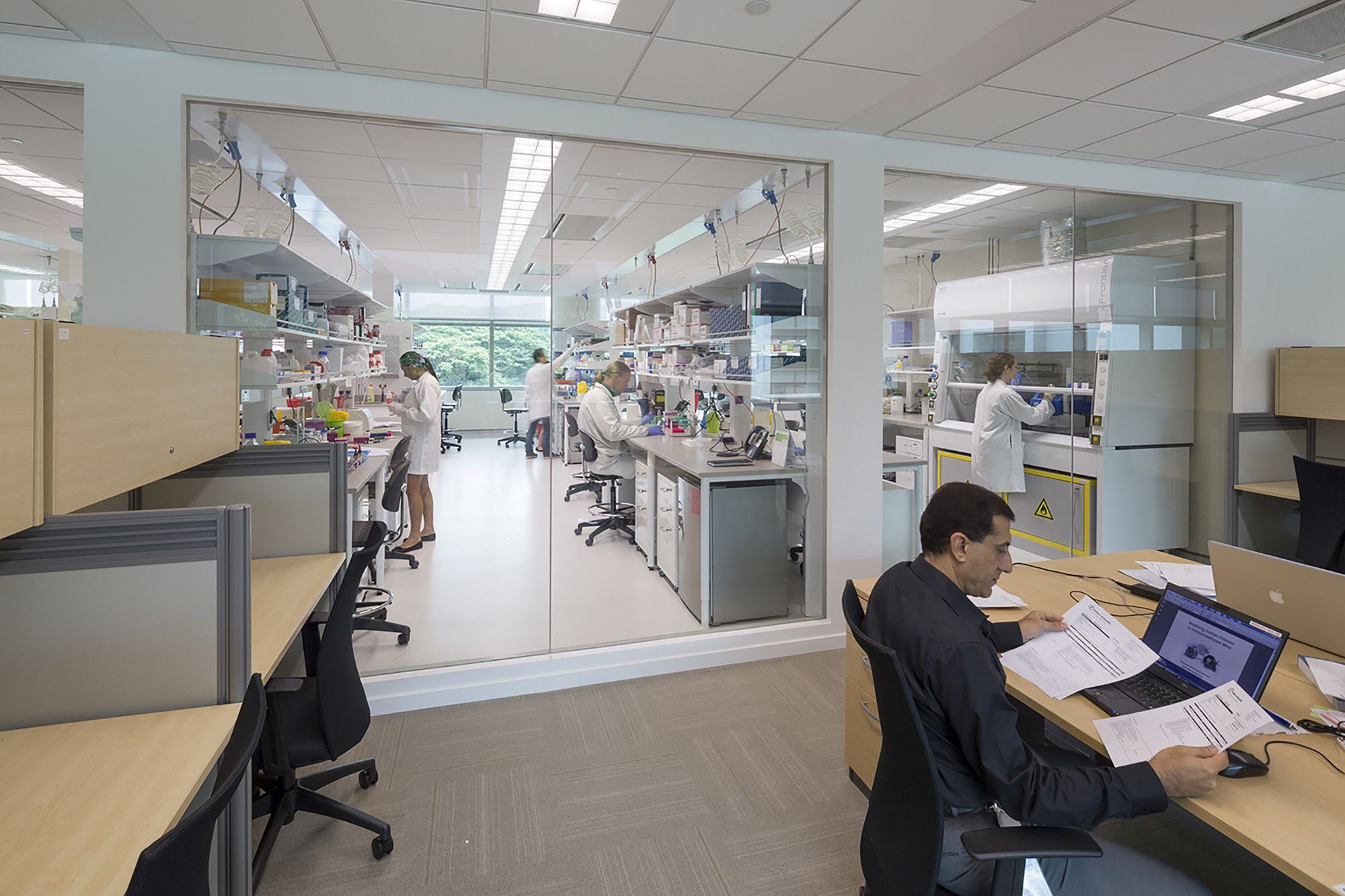 新加坡 CREATE 研究园区 | 绿色科研建筑的典范-18