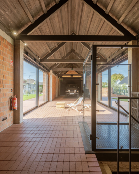 VINEYARD IN DOBRZEŃ MAŁY, POLAND | PORT