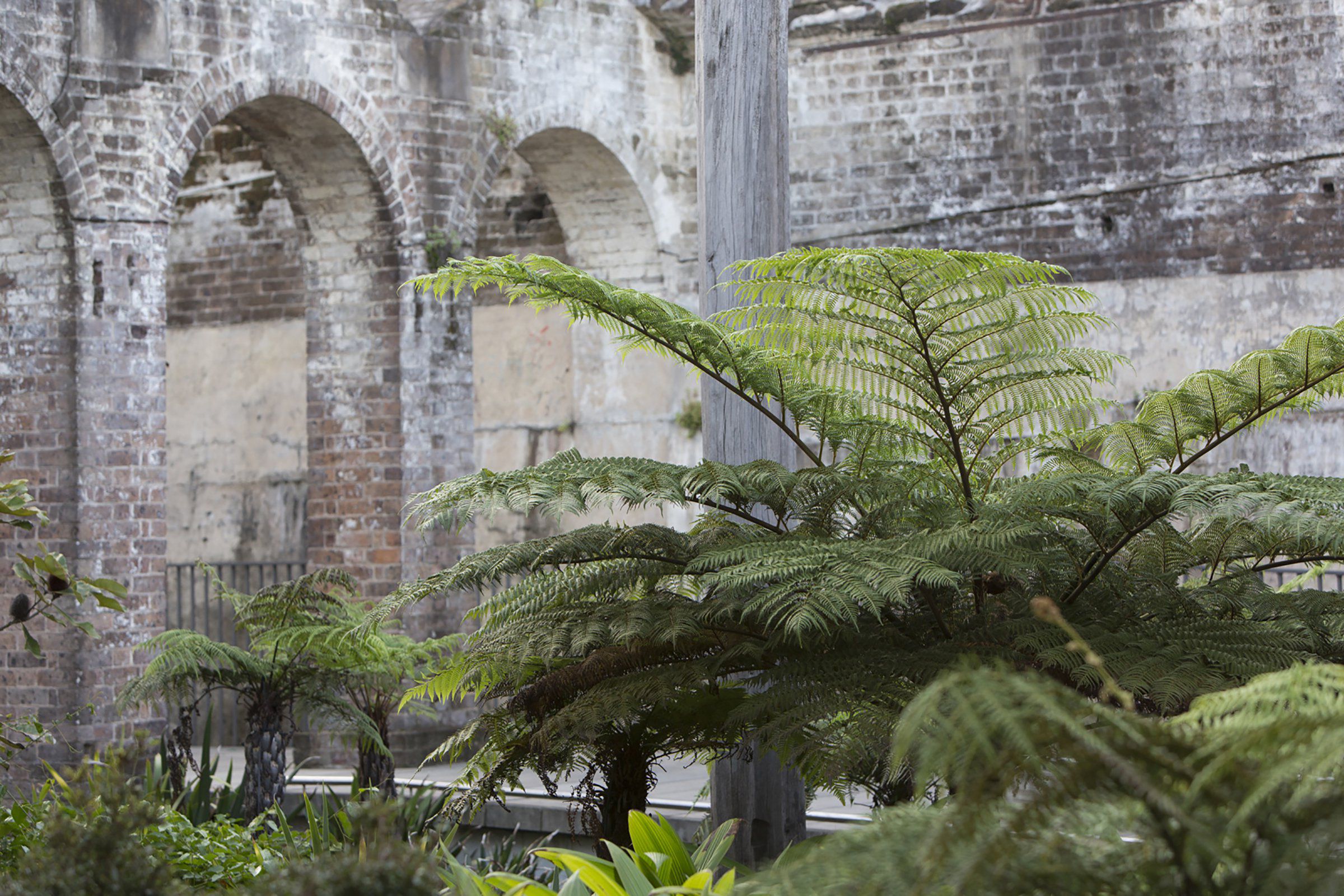 澳大利亚帕丁顿水库改建-17