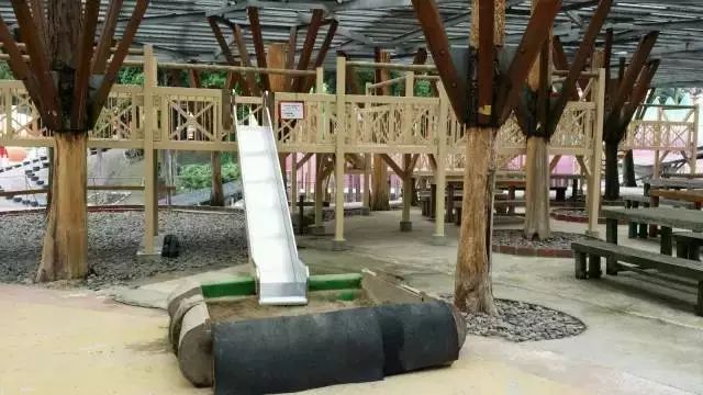 火山脚下的童话农场：阿苏农场-50