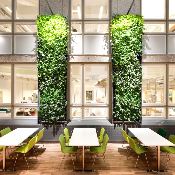 丨瑞典乌普萨拉-30